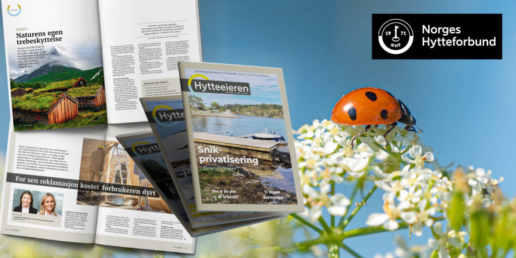 Viser utdrag av artikler i Hytteeieren